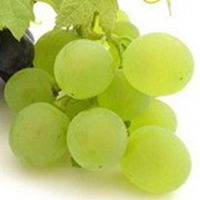 唯美好看葡萄微信头像