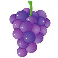 唯美好看葡萄微信头像