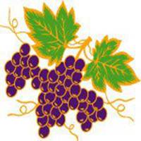 唯美好看葡萄微信头像