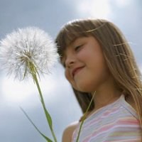 唯美好看蒲公英微信头像