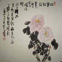 唯美好看蔷薇花微信头像