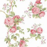 唯美好看蔷薇花微信头像