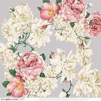 唯美好看蔷薇花微信头像