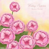 唯美好看蔷薇花微信头像