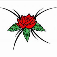 唯美好看蔷薇花微信头像