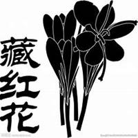 唯美好看藏红花微信头像