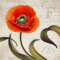 唯美好看虞美人花微信头像