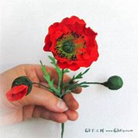 唯美好看虞美人花微信头像