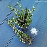 唯美好看迷迭香微信头像