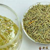 唯美好看迷迭香微信头像