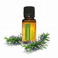 唯美好看迷迭香微信头像