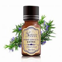 唯美好看迷迭香微信头像