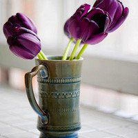 唯美好看郁金香微信头像