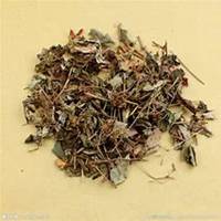 唯美好看金钱草微信头像