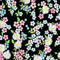 唯美好看雏菊花微信头像