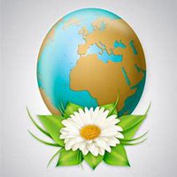 唯美好看雏菊花微信头像