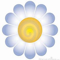 唯美好看雏菊花微信头像