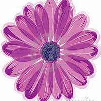 唯美好看雏菊花微信头像