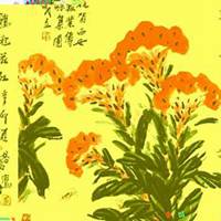 唯美好看鸡冠花微信头像