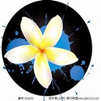 唯美好看鸡蛋花微信头像