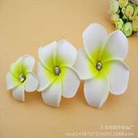 唯美好看鸡蛋花微信头像