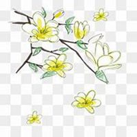 唯美好看鸡蛋花微信头像