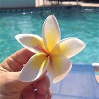 唯美好看鸡蛋花微信头像