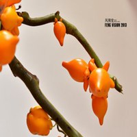 唯美好看黄金果微信头像