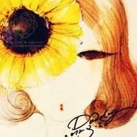 太阳菊花头像