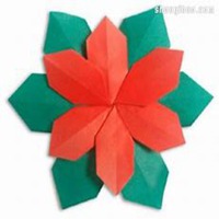 微信一品红头像_高清一品红花朵图片大全