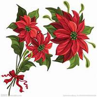 微信一品红头像_高清一品红花朵图片大全