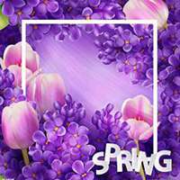 微信丁香花头像