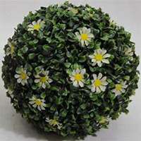 微信七里香头像_高清七里香花朵图片大全