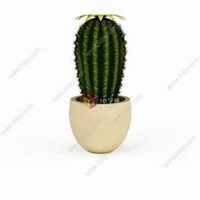 微信仙人球头像_高清仙人球花朵图片大全