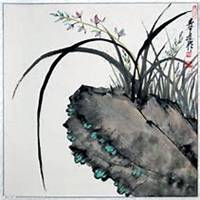 微信兰花头像_高清兰花花朵图片大全