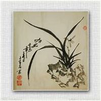 微信兰花头像_高清兰花花朵图片大全