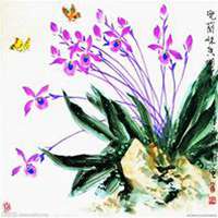 微信兰花头像_高清兰花花朵图片大全