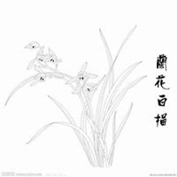 微信兰花头像_高清兰花花朵图片大全