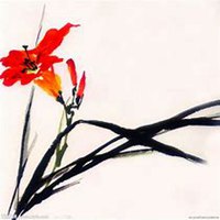 微信兰花头像_高清兰花花朵图片大全