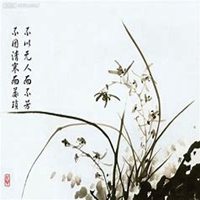 微信兰花头像_高清兰花花朵图片大全