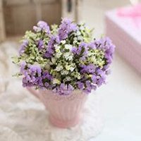 微信勿忘我花朵头像_高清勿忘我花朵花朵图片大全