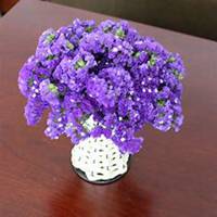 微信勿忘我花朵头像_高清勿忘我花朵花朵图片大全