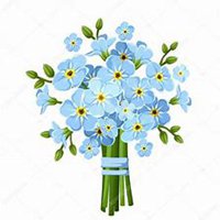 微信勿忘我花朵头像_高清勿忘我花朵花朵图片大全