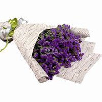 微信勿忘我花朵头像_高清勿忘我花朵花朵图片大全