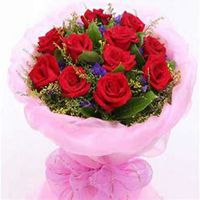 微信勿忘我花朵头像_高清勿忘我花朵花朵图片大全