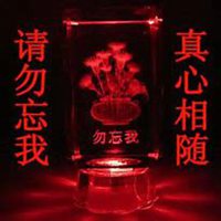 微信勿忘我花朵头像_高清勿忘我花朵花朵图片大全