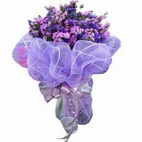 微信勿忘我花朵头像_高清勿忘我花朵花朵图片大全