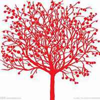 微信发财树头像_高清发财树花朵图片大全