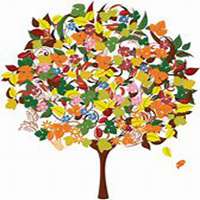 微信发财树头像_高清发财树花朵图片大全