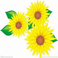 微信向日葵头像_高清向日葵花朵图片大全